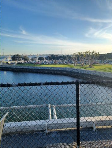 View from the Flight Deck